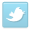 twitter_link