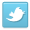 twitter_link